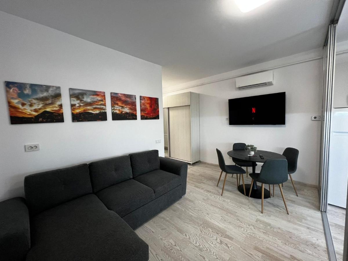Cozy Apartments - City Center Iasi Buitenkant foto